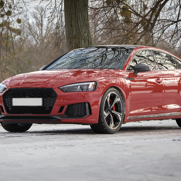 NEXT FEEL (5) NEXT FEEL (5)